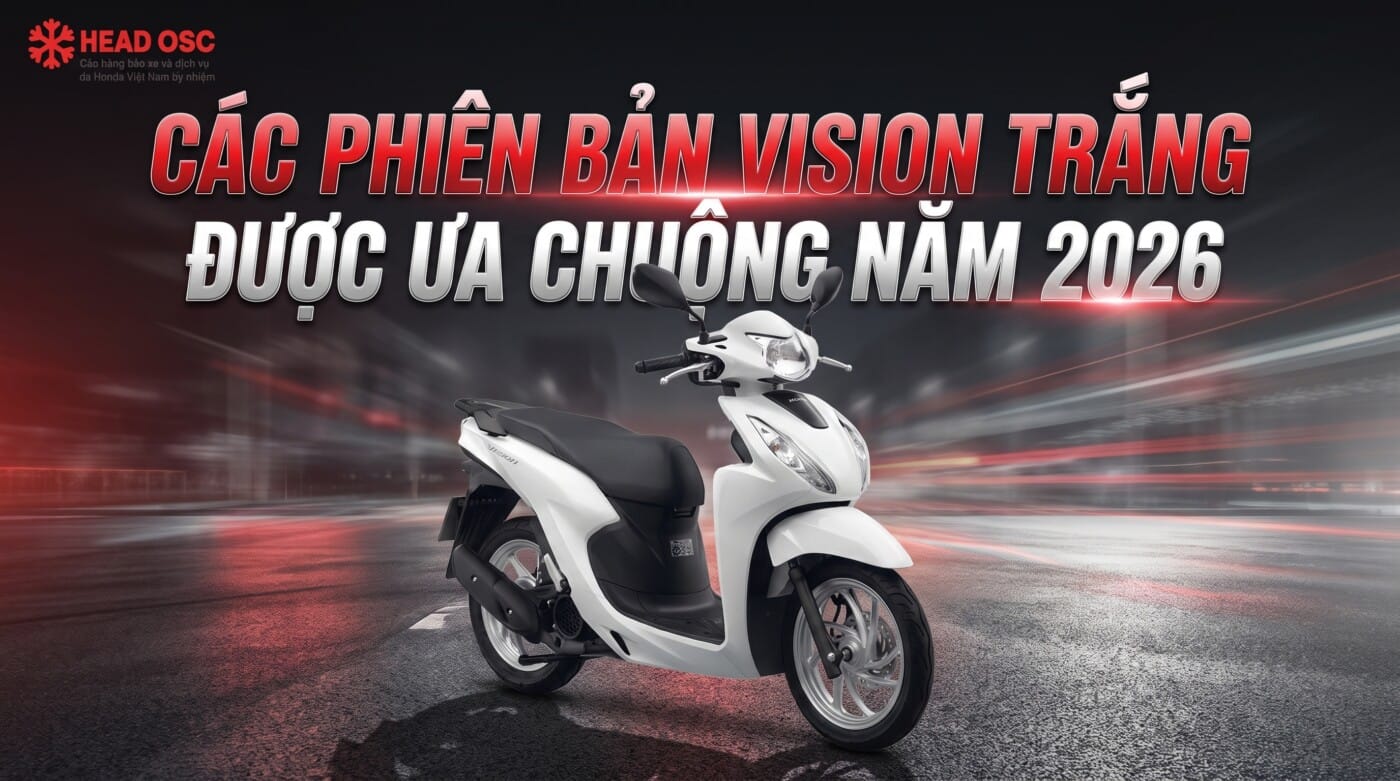 Các Phiên Bản Vision Trắng Được Ưa Chuộng Năm 2026