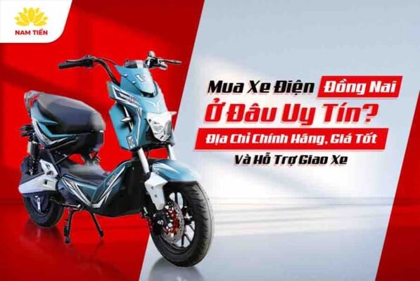 mua-xe-dien-dong-nai